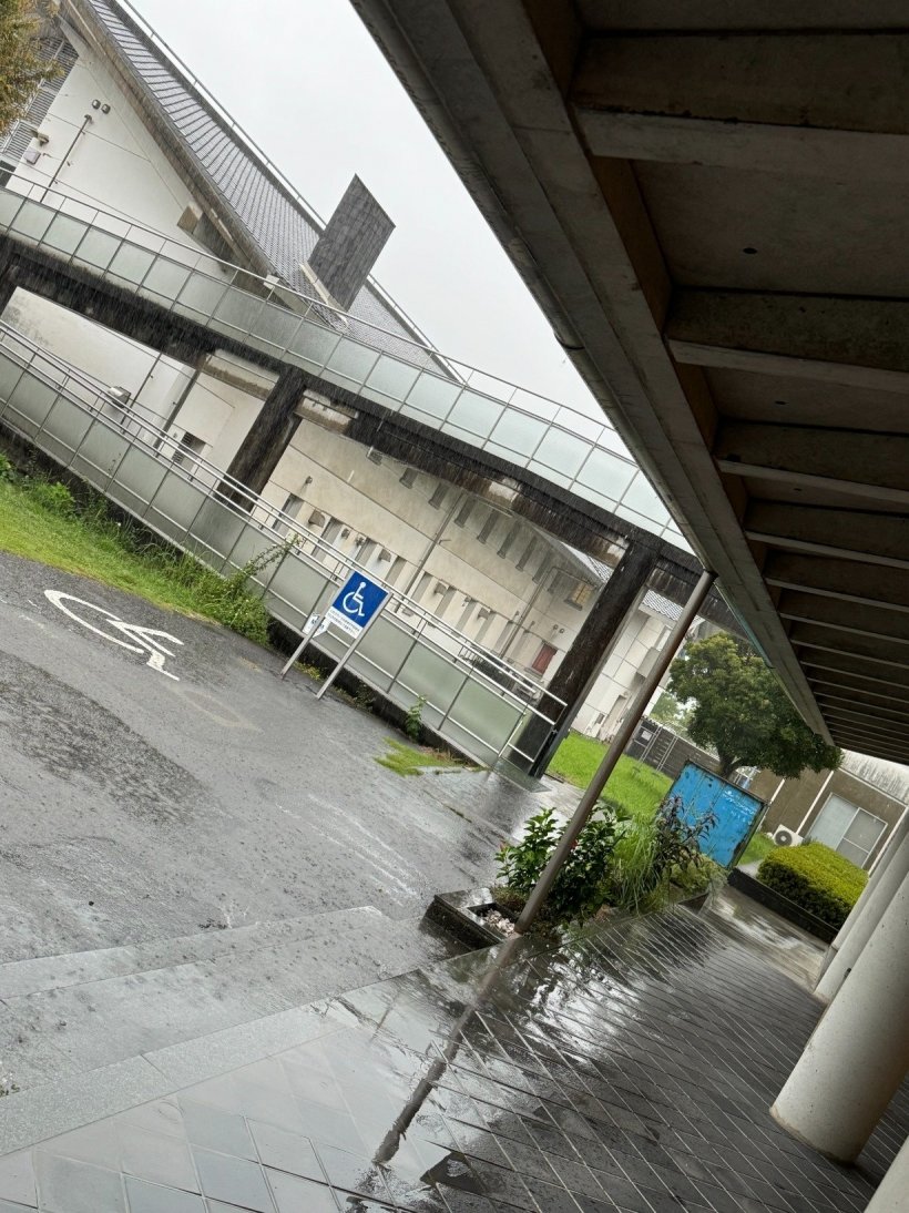 雨で濡れているタイル